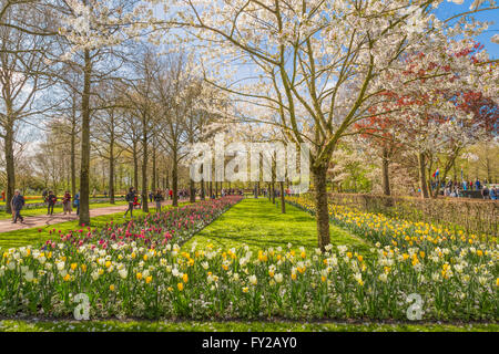 Turisti che si godono la molla umore alla famosa Keukenhof, uno dei più grandi del mondo i giardini fioriti Lisse, South Holland. Foto Stock