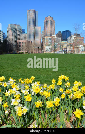 Fiori che sbocciano in Boston la ventola del quartiere del Molo con lo skyline del centro cittadino in background. Foto Stock