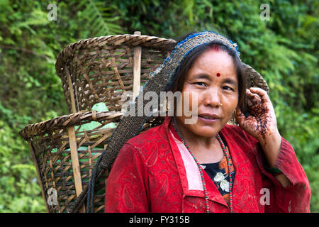 Donna nepalese a lavorare nelle risaie in Bungamati, intorno a valle di Kathmandu, Nepal. Foto Stock