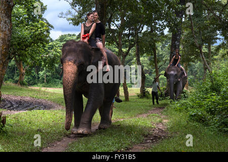 Indiano o di un corno di rinoceronte e turisti su elephant safari in Chitwan il parco nazionale, il Nepal Foto Stock