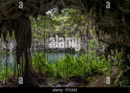 Los Tres Ojos, TRE OCCHI, open-air di grotte di calcare, Mirador del Este park, Santo Domingo Este, Repubblica Dominicana Foto Stock
