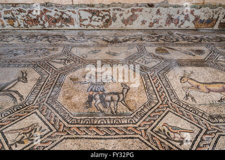Dei primi Cristiani pavimento in mosaico con simbologia animale, del IV secolo, esposto nella basilica di stile romanico, interno, Aquileia Foto Stock