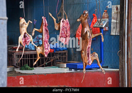 Cane e gatto carcasse appeso in una fase di stallo nel mercato coperto di Yangshuo, Cina Foto Stock