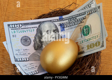 Dollari americani e un Golden Egg in un nido. Foto Stock