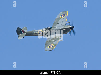 Spitfire Mk.LF.XVIe TE311 RAF BBMF Foto Stock