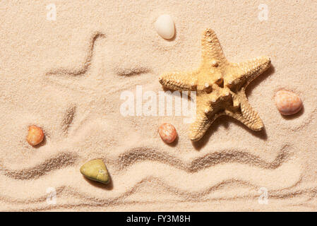 Starfish, marchio di stelle marine, marchio di onda e pietre di mare sulla sabbia. Estate spiaggia sfondo. Vista da sopra Foto Stock