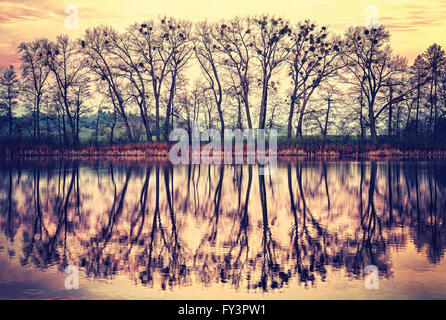 Vintage tonica tree silhouettes riflessa in un lago di sunrise. Foto Stock