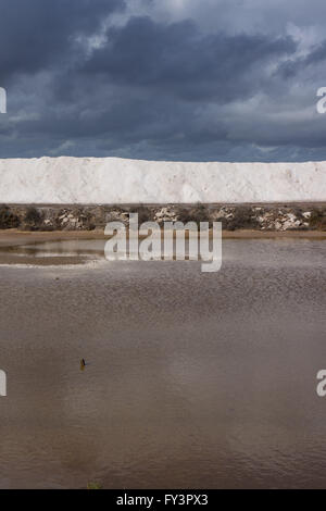 La raccolta del sale nelle saline vicino a Tavira, Portogallo Foto Stock