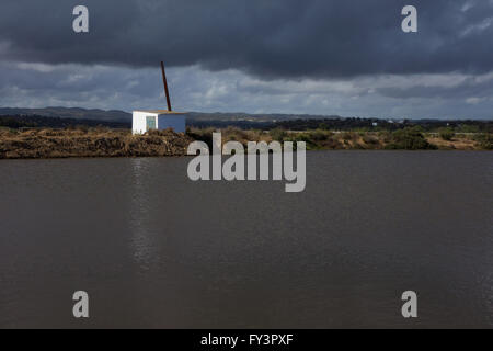 La raccolta del sale nelle saline vicino a Tavira, Portogallo Foto Stock