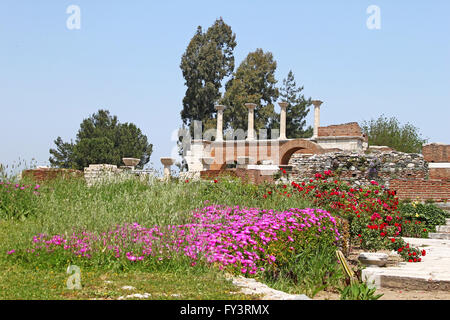 Le rovine di st. Johns Basilica in primavera, Selcuk, Efeso, Turchia Foto Stock