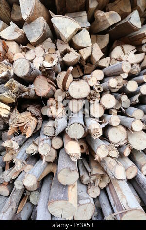 Catasta di legna da ardere realizzato dalla struttura ad albero di morti per uso in inverno. Foto Stock