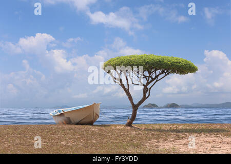 A forma di albero fungo vicino al mare e una barca in bright meteo giorno,Tropical Beach in Thailandia. Foto Stock