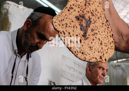 Gerusalemme, Israele. Xxi Aprile, 2016. Gli uomini ebrei preparare matzah, pane azzimo, per la Pasqua ebraica, simbolico dell'esodo biblico degli antichi ebrei dalla schiavitù in Egitto alla libertà in cui non avendo avuto il tempo di attesa per l'impasto a lievitare prima di lasciare l'Egitto, partirono nel deserto con pane azzimo. Credito: Nir Alon/Alamy Live News Foto Stock