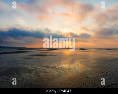 Il tramonto e la bassa marea oltre le zone umide vicino al porto di Rotterdam in South Holland, Paesi Bassi Foto Stock