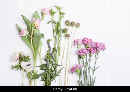 Mazzo di tulipani rosa, anemoni bianchi, spicchi di colore rosa e bianco renoncules giacente su sfondo bianco dalla parte superiore Foto Stock
