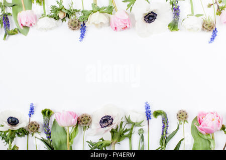 Tulipani rosa, anemoni bianchi, spicchi di colore rosa e bianco renoncules giacente su sfondo bianco in due righe, sulla sommità e sul fondo Foto Stock