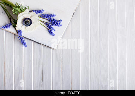 Anemone bianca e uva giacinti giacente sul legno bianco con persiane in background Foto Stock