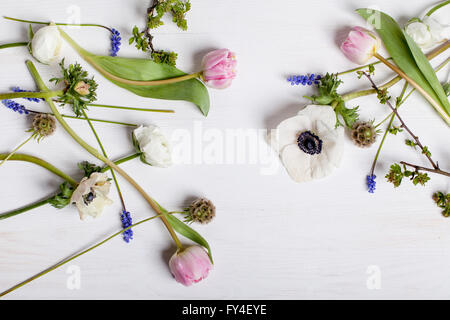 Anemone bianca, rosa tulipani e giacinti d'uva giacente sul legno bianco Foto Stock