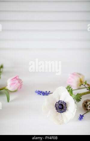 Anemone bianca, due tulipani rosa e uva giacinti sdraiato sul pavimento bianco con persiane in background Foto Stock