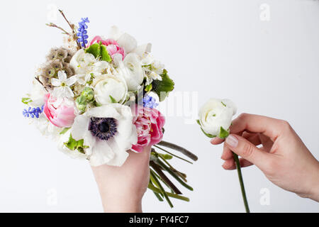 Due mani rendendo bouquet di tulipani rosa, viola uva giacinti, bianco anemoni viola veronica e ranuncolo bianco su bianco Foto Stock