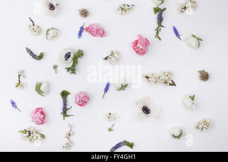 Capi di fiori : anemoni bianchi; rosa tulipani; bianco renoncules; viola veronica; blossom prugna, uva giacinti su bianco Foto Stock