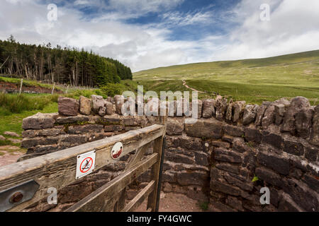 L'inizio della passeggiata fino a Pen Y Fan in Brecon Beacons. Foto Stock