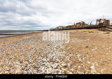 Stony pietre sulla spiaggia a nord Sands Bridlington East Riding of Yorkshire England Regno Unito Inghilterra città costiera di città Foto Stock