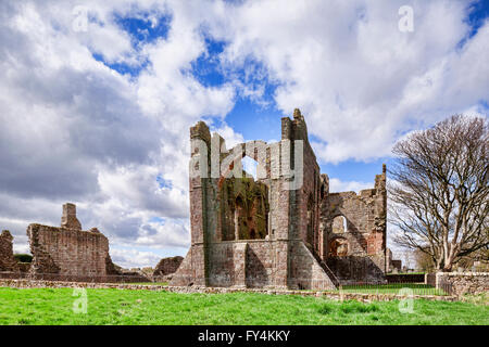 Le rovine di Lindisfarne Priory, Isola Santa, Northumberland, England, Regno Unito Foto Stock