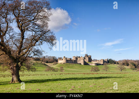 La molla a Alnwick Castle, Northumberland, England, Regno Unito Foto Stock