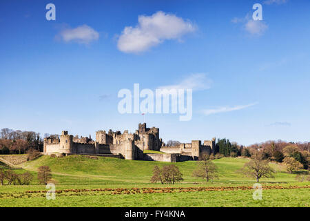 Alnwick Castle, Northumberland, England, Regno Unito Foto Stock