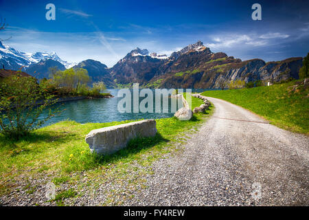 Bella passeggiata a mare di Sisikon village con la vista delle Alpi Svizzere e il lago di Lucerna, Svizzera Foto Stock