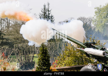 I soldati della "Ulster's Gunners" nel cerimoniale fuoco uniforme un saluto su L118 Luce campo di pistola (Obice) Foto Stock