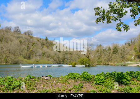 Swanbourne lago su una soleggiata giornata di primavera in Arundel, West Sussex, in Inghilterra, Regno Unito. Foto Stock