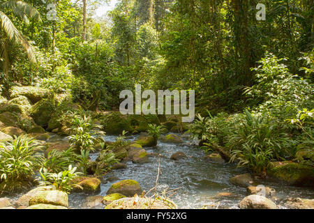 Flusso roccioso in Costa Rica Foto Stock