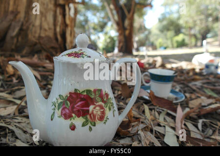 Tazze in un bosco vicino a Albury - Australia Foto Stock