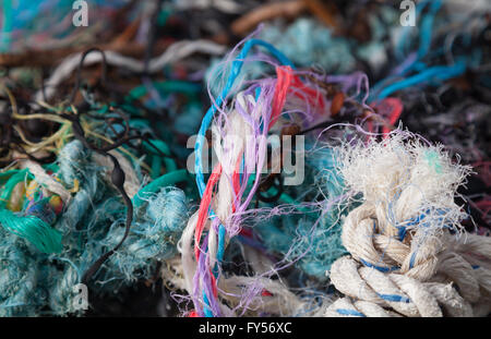 Colorato corda intrecciata, la lenza, plastica, stringa e di alghe trovate su Traeth Penllech spiaggia presso l'alta marea Foto Stock