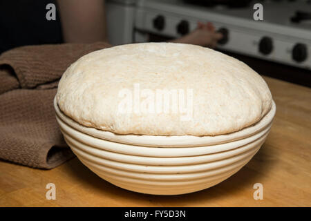 La pasta di pane in aumento in un cestello Foto Stock