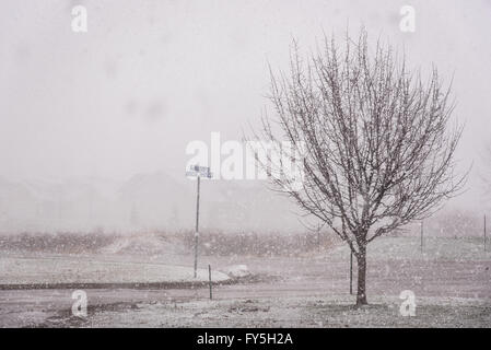 Tempesta di neve pesante e blizzard Foto Stock