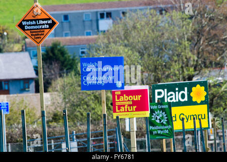 Aberystwyth Wales UK, sabato 23 aprile 2016 politica stradale di banner e poster per i candidati e i partiti all' Assemblea nazionale del Galles elezioni (Plaid Cymru / Welsh liberal-democratici / Welsh conservatori / lavoro / Partito Verde) della National Assembly for Wales elezione 2016 si terrà giovedì 5 maggio 2016, per eleggere i membri dell'Assemblea nazionale del Galles (AMS). Sarà la quinta elezione per l Assemblea Nazionale. Ceredigion's AM corrente è ELIN JONES, che rappresentano il Plaid Cymru Photo credit: Keith Morris / Alamy Live News Foto Stock