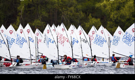 Potsdam, Germania. 23 apr, 2016. Barche a vela della classe optimist durante il cinquantesimo bambini e giovani regata a Templin lago a Potsdam, Germania, 23 aprile 2016. Foto: RALF HIRSCHBERGER/dpa/Alamy Live News Foto Stock