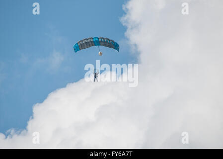 I paracadutisti in un doppio salto ad un paracadute Foto Stock