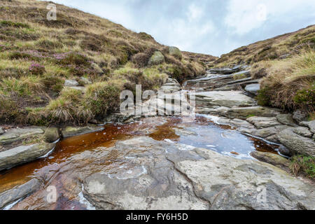 Moorland flusso che scorre in discesa su roccia vicino alla parte superiore della Crowden Clough, Kinder Scout, Derbyshire, England, Regno Unito Foto Stock