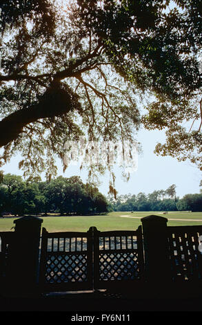 Recinzione & GATE; Middleton Place; c1741; originariamente 50.000 acri di piantagione di riso; Charleston, Carolina del Sud e Stati Uniti d'America Foto Stock