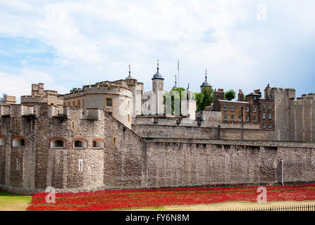 La Torre di Londra, il castello medievale e il carcere con un aiuola di fiori di colore rosso Foto Stock