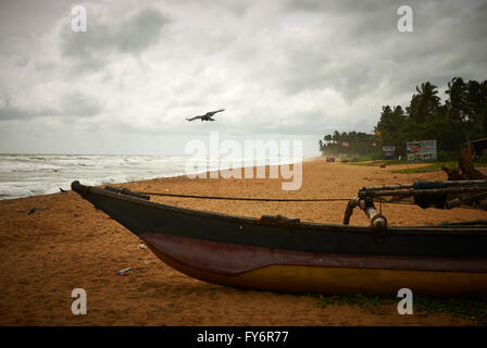 Sri Lanka, Viaggi, Luoghi e Volti in Sri Lanka Foto Stock