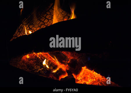 Fiammeggiante fuoco in una stufa a legna