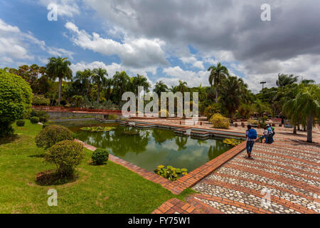 Jardin Botanico National Dr. Rafael María Moscoso, Giardino Botanico Nazionale, Santo Domingo, isola Hispaniola Foto Stock