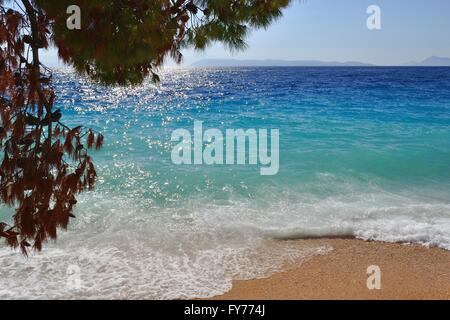 Onde sulla bellissima spiaggia con sabbia. podgora, CROAZIA. parte di albero nella parte superiore sinistra del telaio Foto Stock