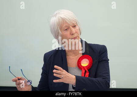 Jenny Rathbone Welsh del lavoro complessivo sono stati presso l'Assemblea nazionale del Galles. Foto Stock