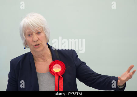 Jenny Rathbone manodopera AM per Cardiff Central presso il National Assembly for Wales. Foto Stock